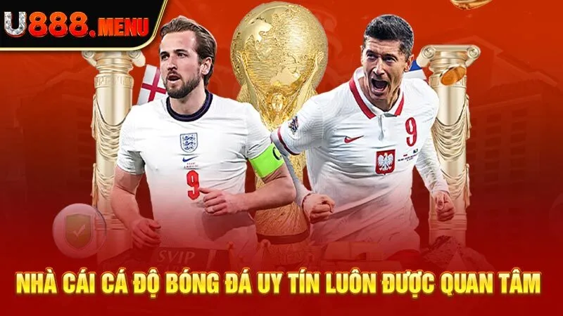 Nhà Cái Cá Độ Bóng Đá Uy Tín - Top 4 Địa Điểm Hot Nhất 2024