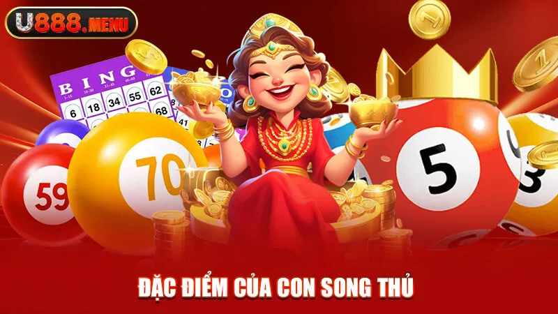 Đặc điểm của con song thủ